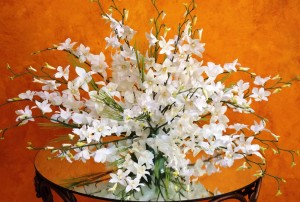 ORCHID CENTERPIECE