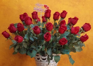 valentine roses 004